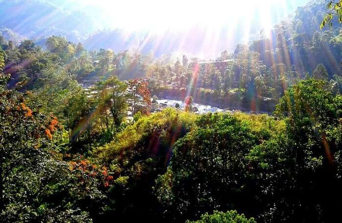 Saramsa Garden