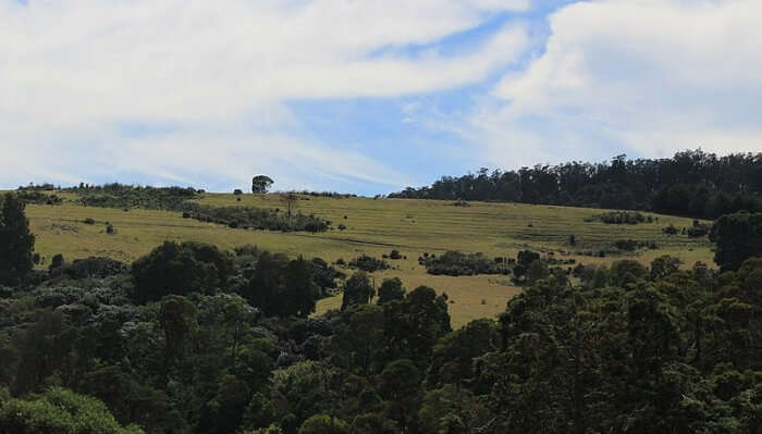 Shooting Point In Ooty is one of the best honeymoon places in Ooty