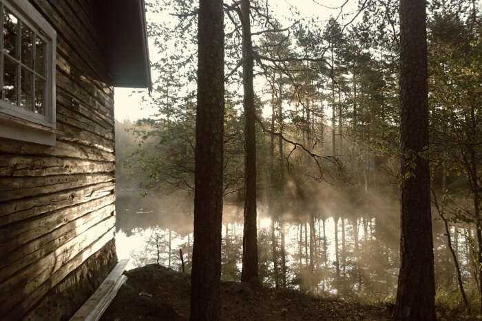cabin forest wood