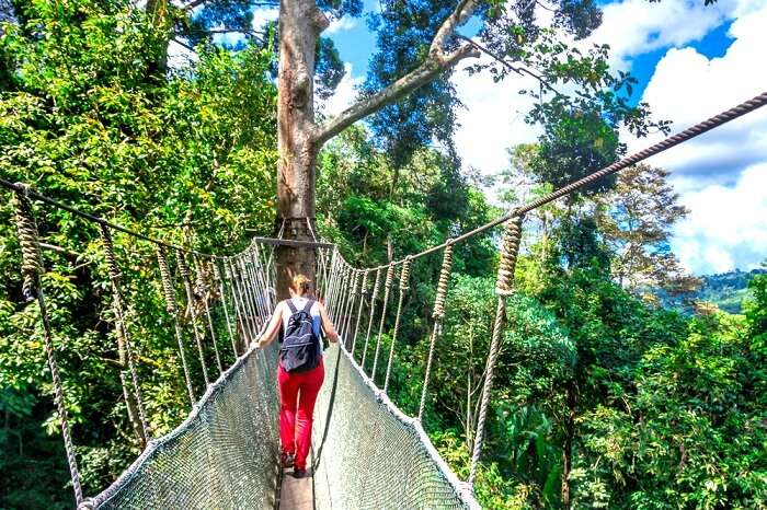 Kota do in kinabalu to things Ultimate Guide