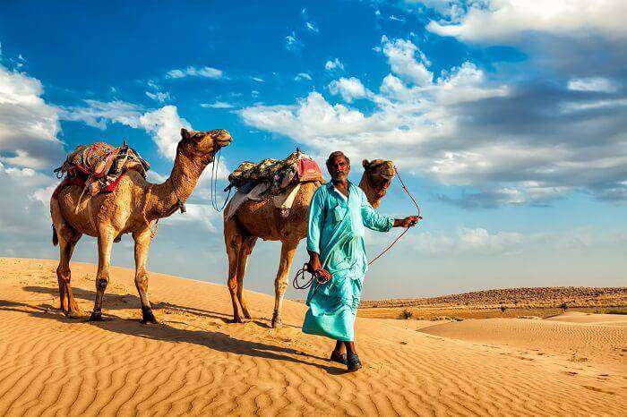 people riding camel