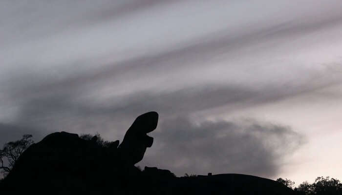 Toad_Rock_Mount_Abu