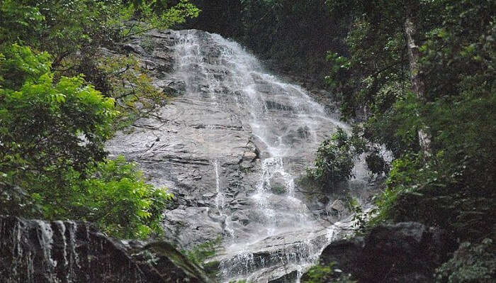 Yangtey