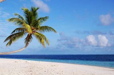 view of a beautiful beach in maldives