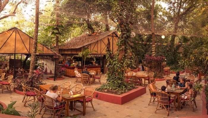 bean me up, goa