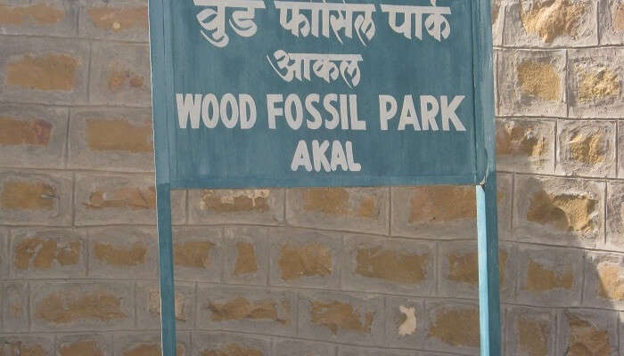 Akal Wood Fossil Park