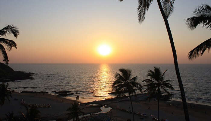 beach in goa