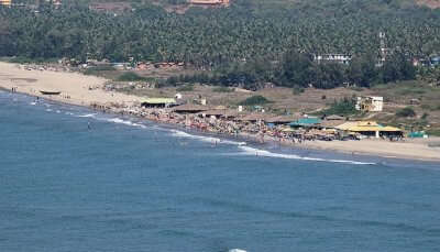 A delightful view of Morjim beach in Goa