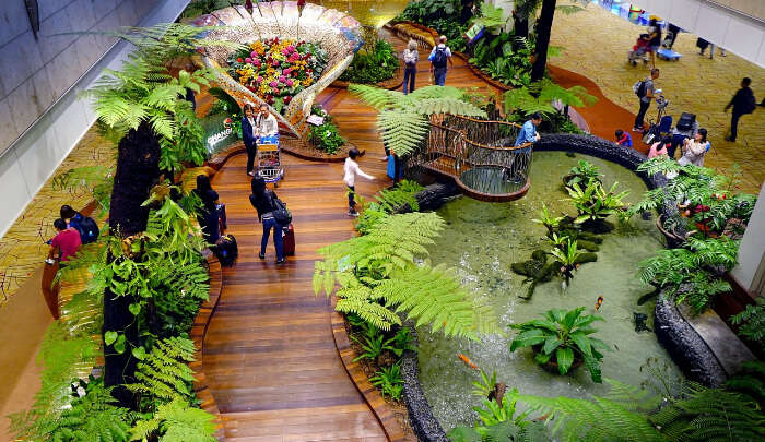 14 (Mostly) Free Things to Do at Changi Airport