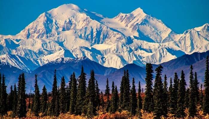 Denali Peak Alaska