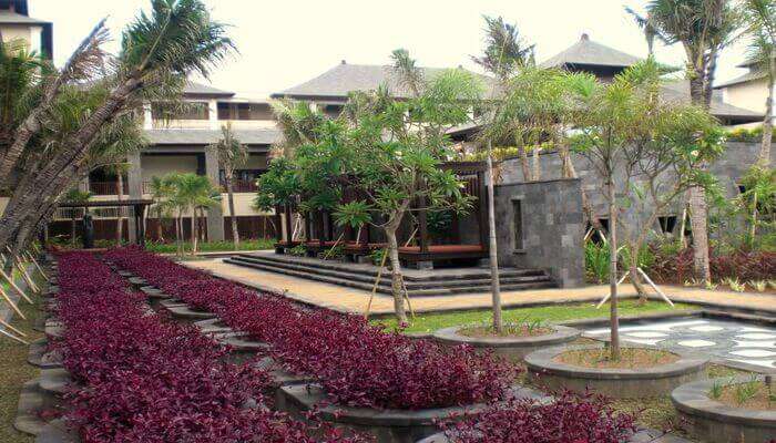 Dojo Bali