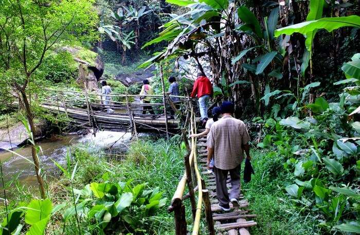 Eco Paradis Bambu Indah