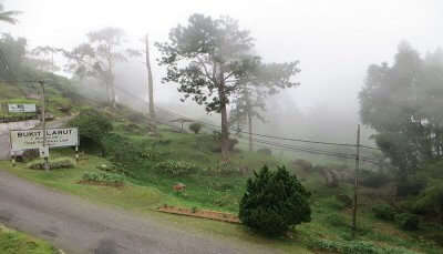 Bukit Larut