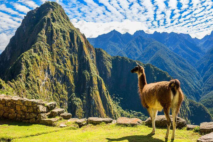 Huayna-Picchu_19th oct
