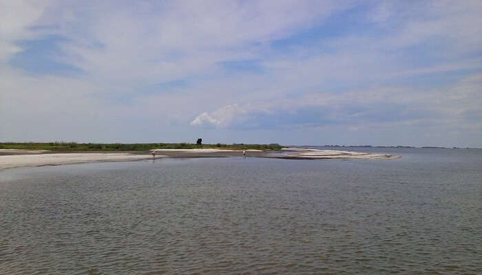 janes island maryland