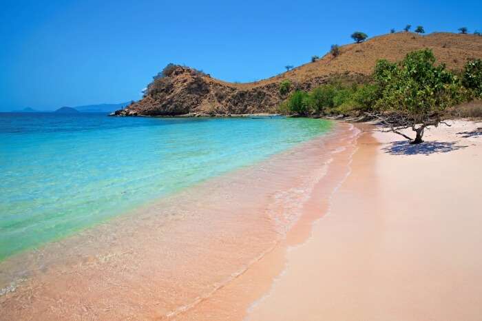 A view of Komodo Island