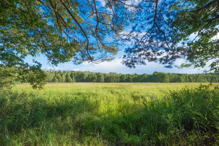 Morningside Nature Preserve