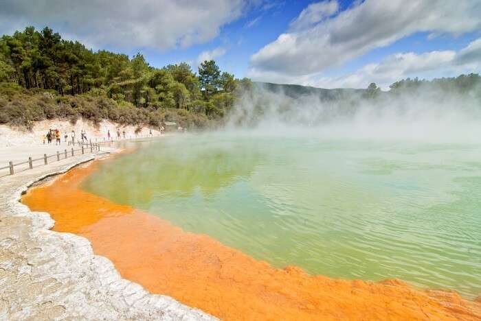 geotherrmal spring rotorua