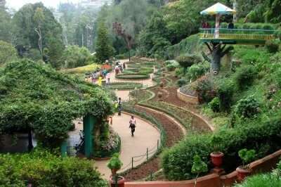 A stunning view of Pondicherry Botanical Garden, one of the best places to visit in Pondicherry
