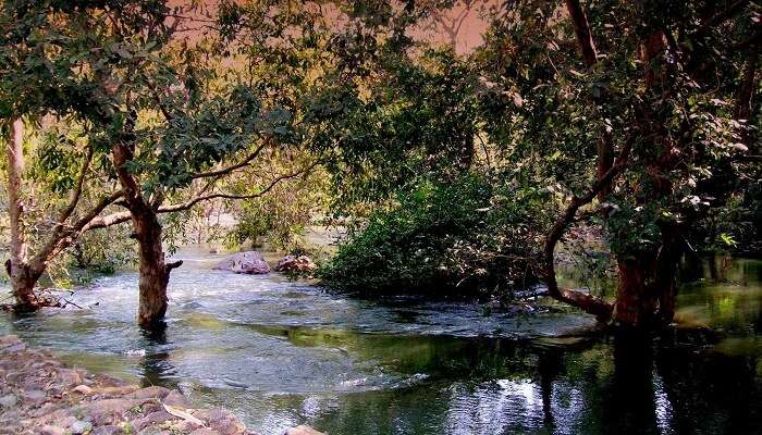 Sita Mata Sanctuary