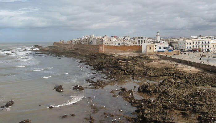 Tide Pools Of Essaouira