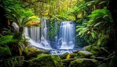 Waterfalls In Australia cover