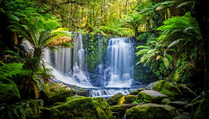 verden kom sammen vrede 14 Waterfalls In Australia For A Date With Nature
