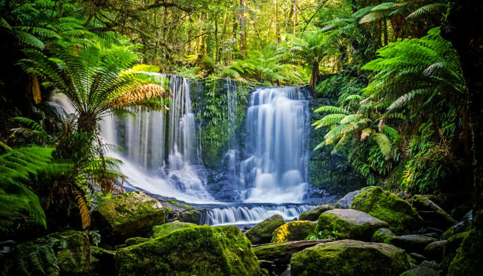 orientáció megfejt petíció australia nature photos kifizet ...