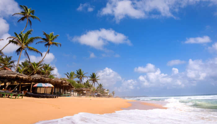 beach in Hikkaduwa