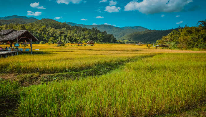 Things To Do In Pai
