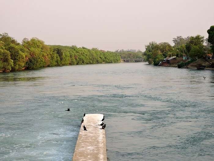 A glorious view of Ropar wetland in Punjab