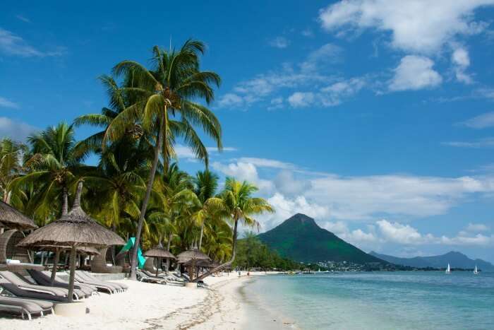 beach and palm trees