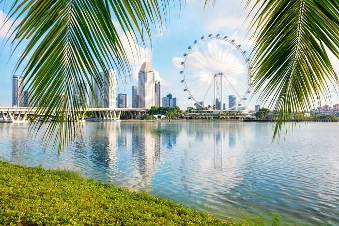 Stunning Places To Visit Near Nocturnal Wildlife Park In Singapore