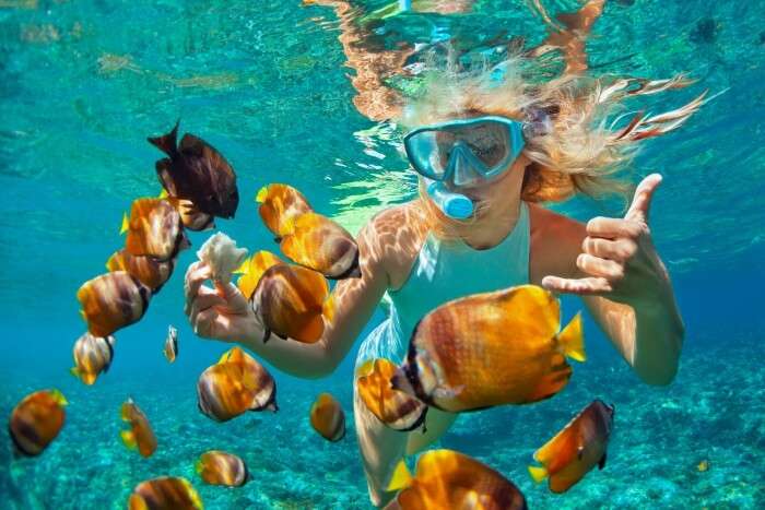 Amazing Snorkeling In Queensland