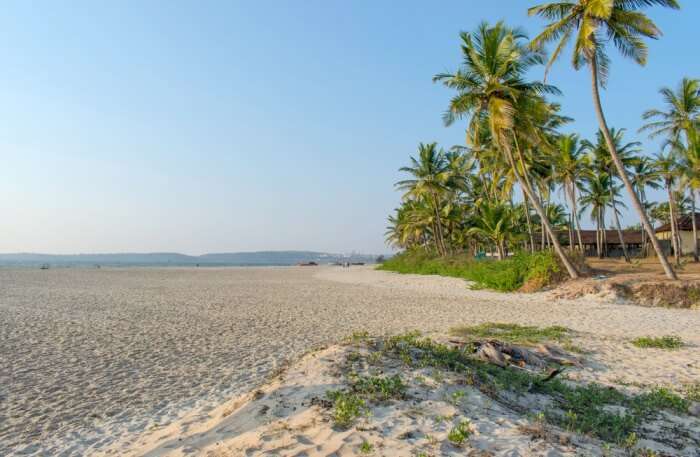 View of Cansualim Beach