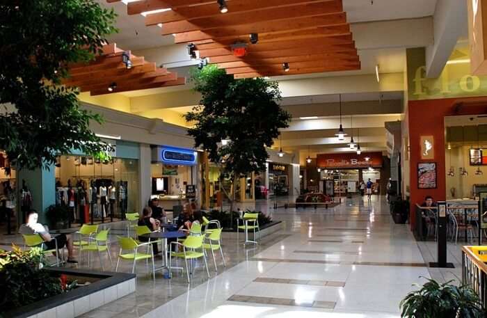 Cedar Mall In Kenya