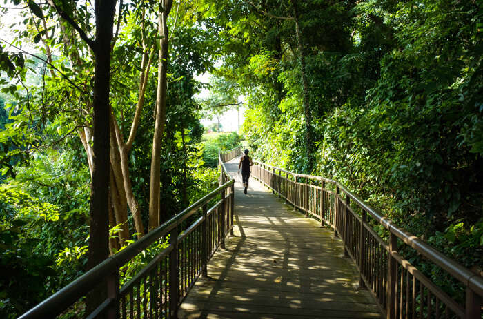 Mount Faber