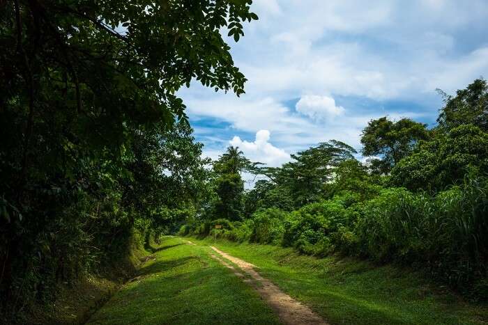 famous nature reserve