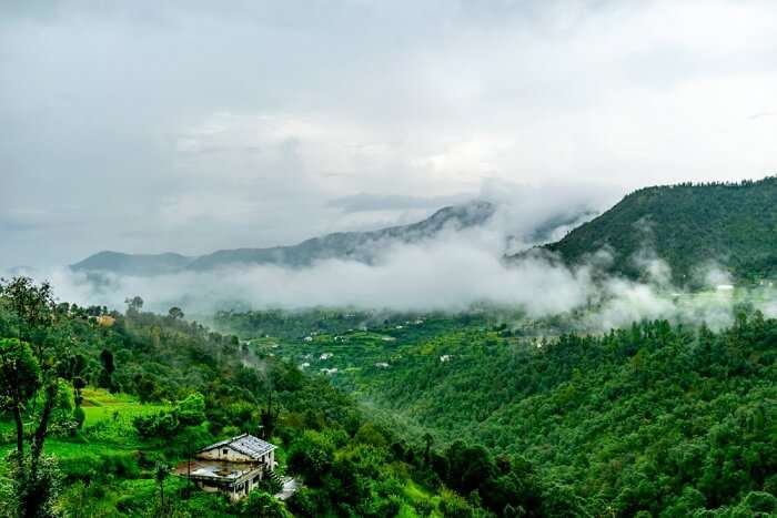 beautiful scenery of Binsar in summer