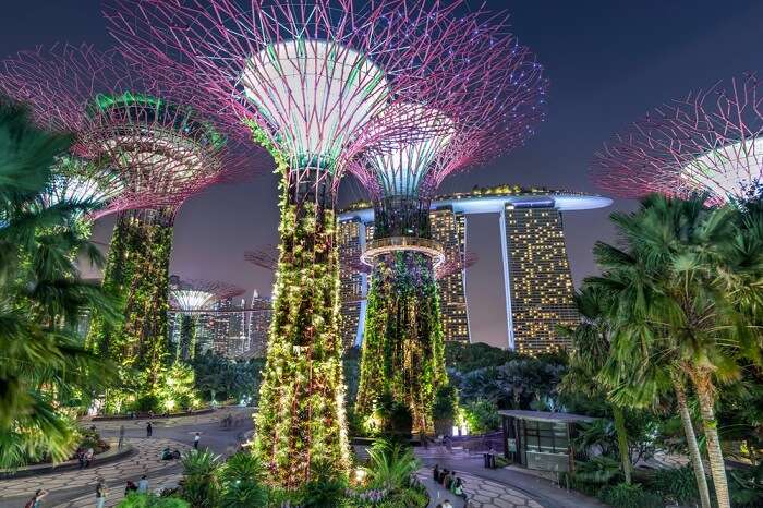 Gardens by the bay