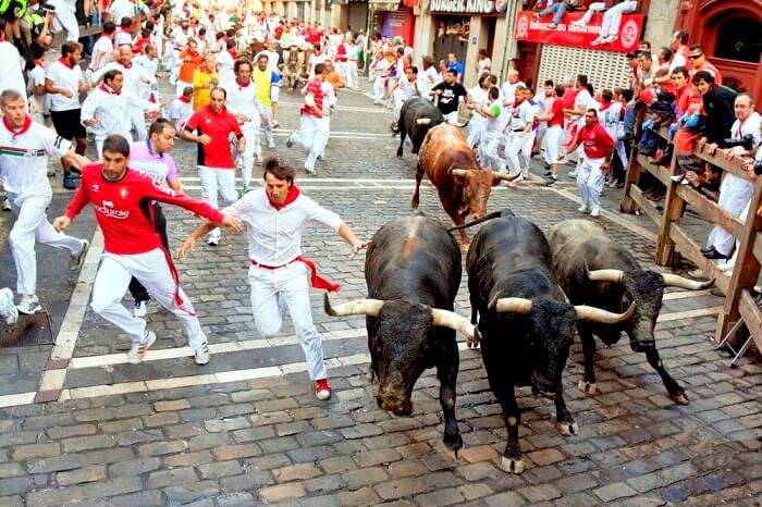 people running with bulls in spain