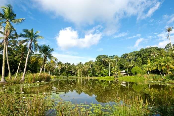 Islands Near Bedok (Cover)