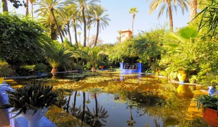 Jardin Majorelle in Marrakech
