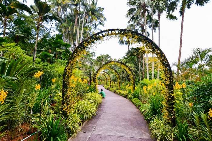 National Orchid Garden