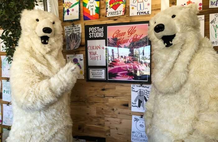 Poster Bear