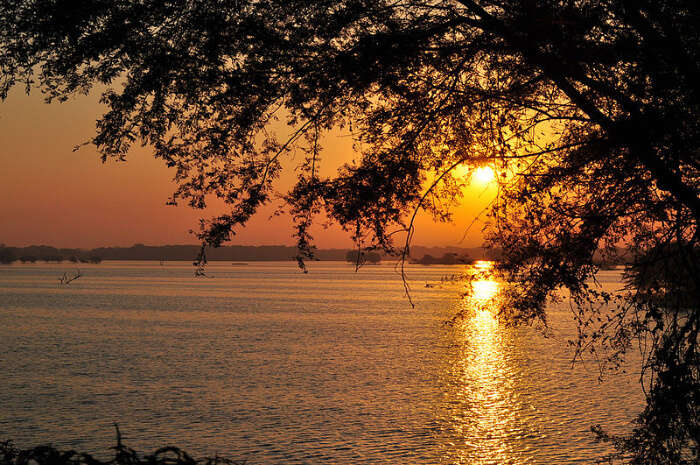 A glorious view of Thol Lake Bird Sanctuary