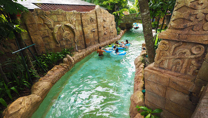 Adventure Cove Waterpark