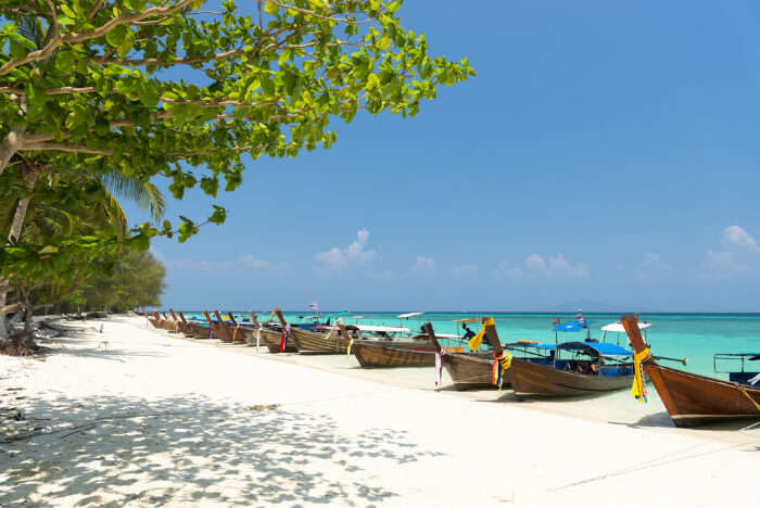 Beautiful Bamboo Island