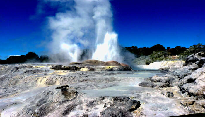 Things To Do In Rotorua