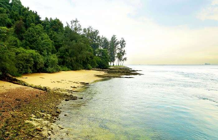 Sisters island during evening